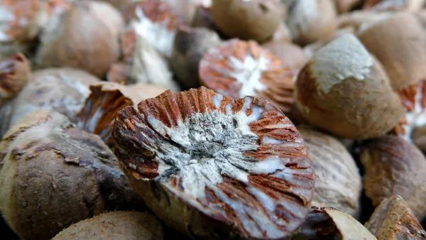 用香菜煮水喝有什么功效