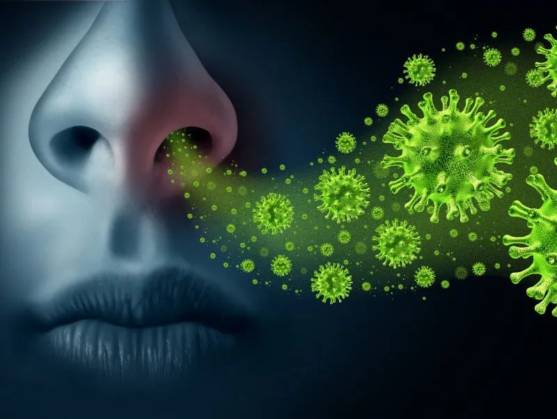 黄热病症状有哪些