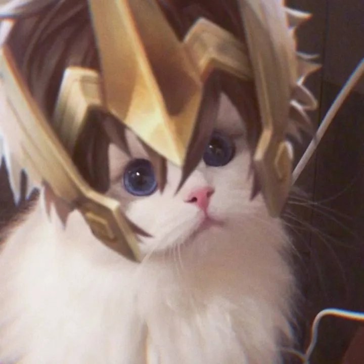 《王者荣耀》猫咪接头头像大全