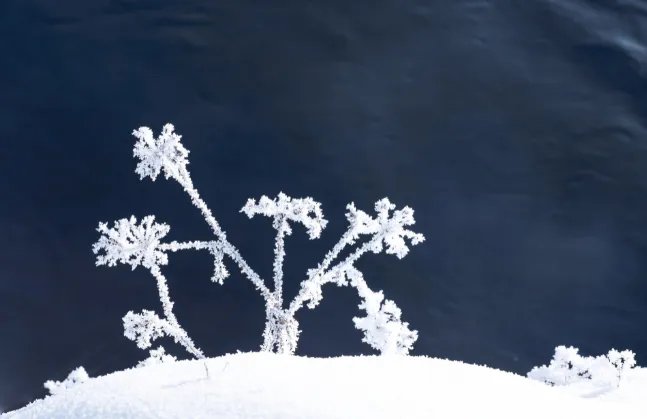 霜降是什么时候