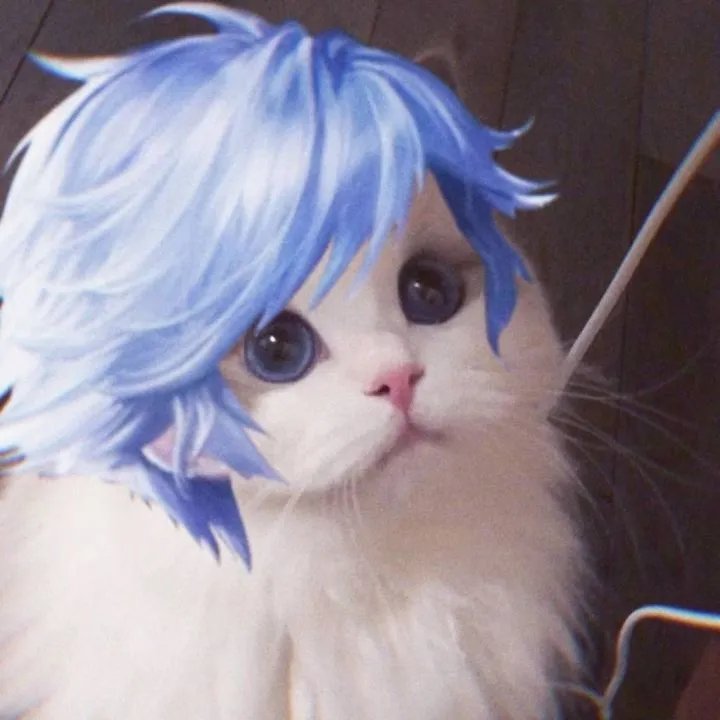 《王者荣耀》猫咪接头头像大全