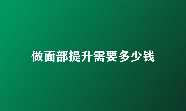 做面部提升需要多少钱