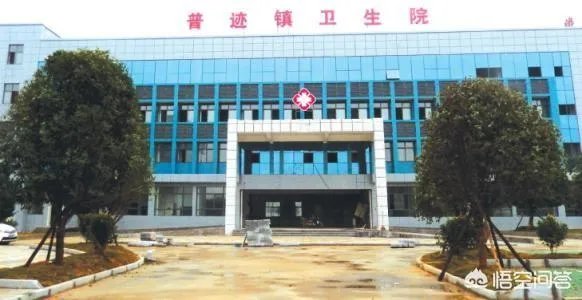 乡镇卫生院医生的工资是多少?