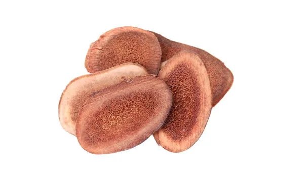 鹿茸的功效与作用及食用方法