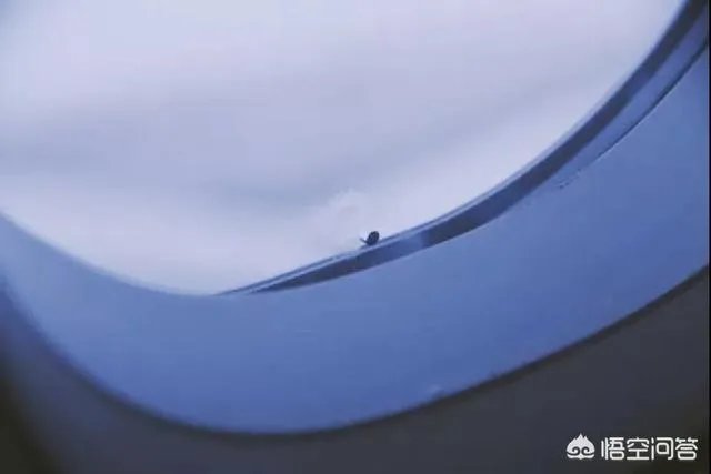 飞机舷窗为什么是椭圆形的?舷窗底部的小孔有什么作用?
