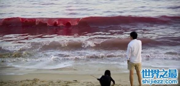 广西现龙吸水奇观视频，犹如真龙现身直入云霄 