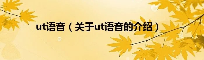 ut语音（关于ut语音的介绍）