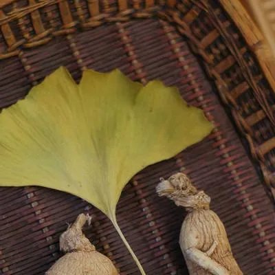 你需要知道的老年养生禁忌