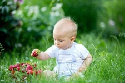 七个月宝宝吃什么辅食 这几个辅食食谱分享