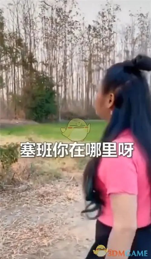 抖音找塞班是什么梗