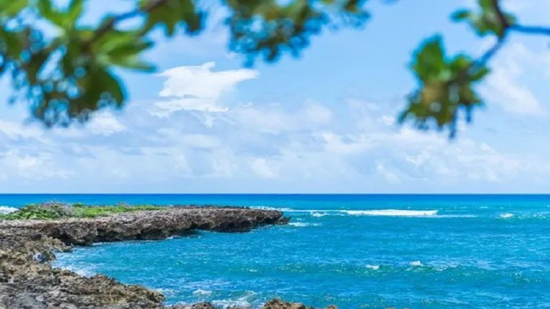 想出国旅游要办理些什么 出国旅游需要什么手续