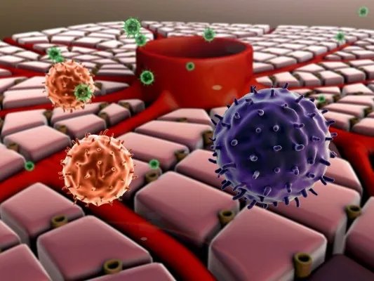 汉他病毒的致病症状有哪些