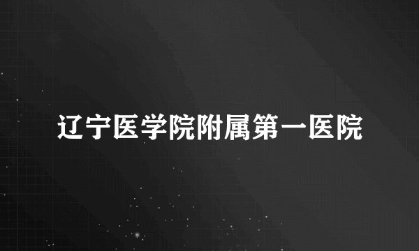 辽宁医学院附属第一医院