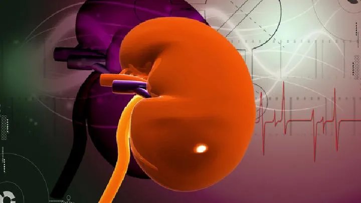 肾结石的早期症状有哪些呢?