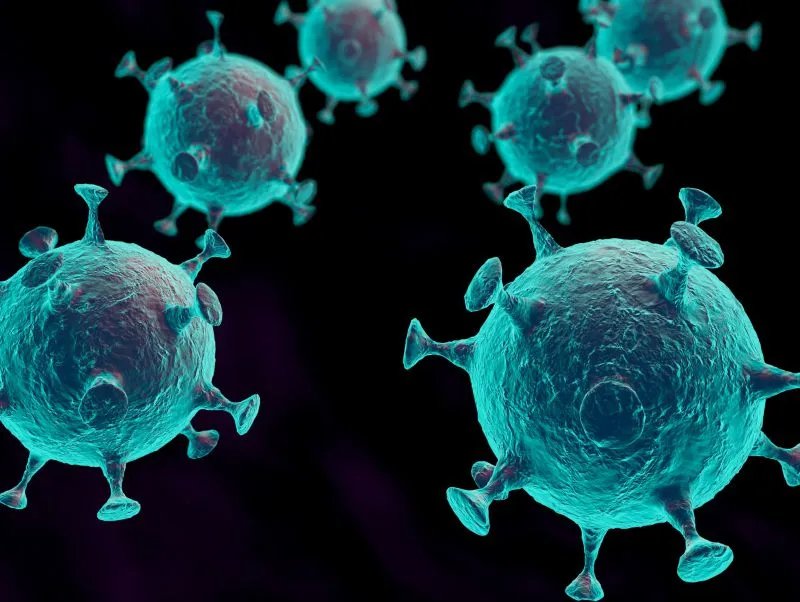 结核菌试验注意事项