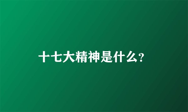 十七大精神是什么？