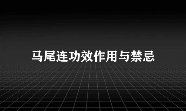马尾连功效作用与禁忌