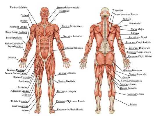 防核辐射的正确做法与误区