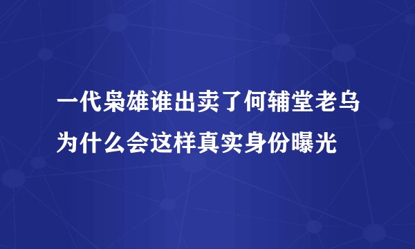 一代枭雄谁出卖了何辅堂老乌为什么会这样真实身份曝光