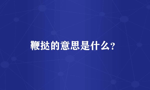 鞭挞的意思是什么？