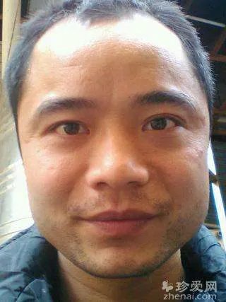 热舞情天的介绍