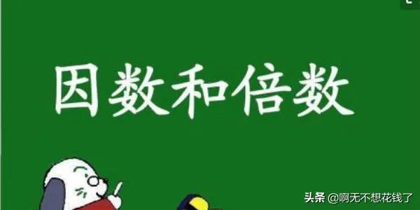 17的因数有哪些？