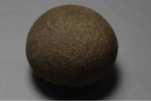 狗宝的功效与作用