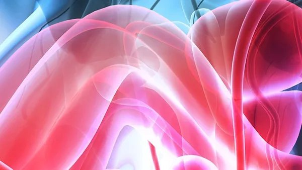 地中海贫血能治愈吗