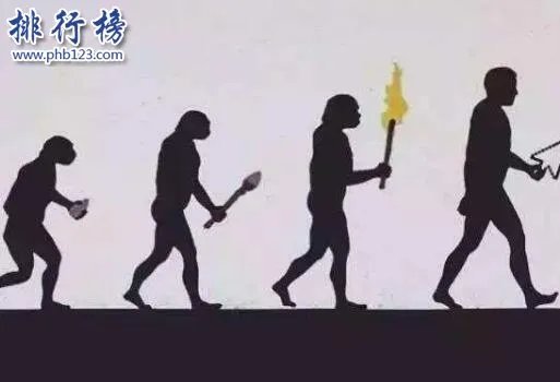 地球十大最强生物,人类上榜第1可举起自身1180倍