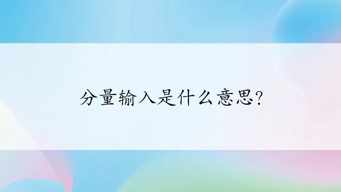 分量输入是什么意思？