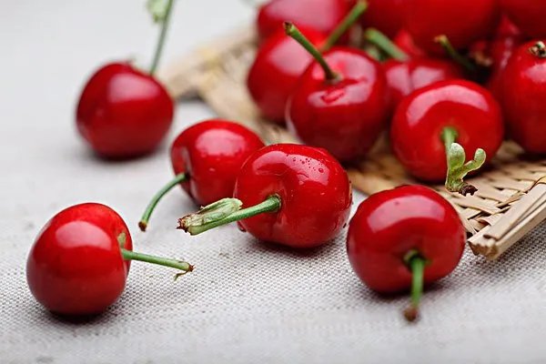 车厘子是什么东西