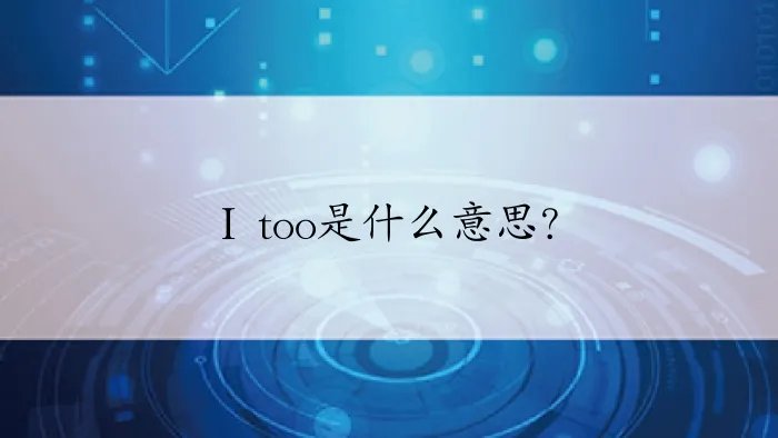 I too是什么意思？