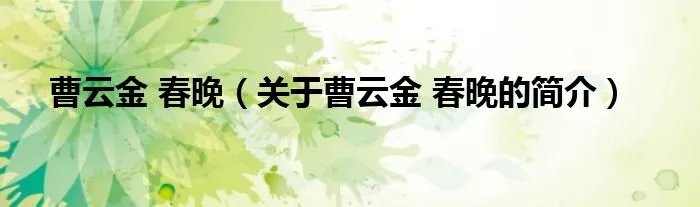 曹云金 春晚（关于曹云金 春晚的简介）