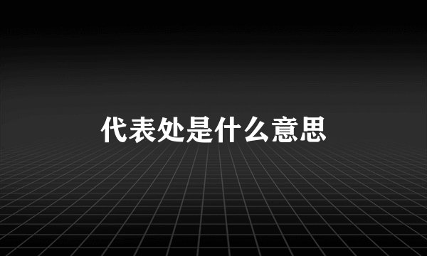 代表处是什么意思