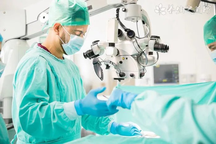 小白鼠吃什么 适合它生长的环境条件