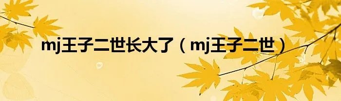 mj王子二世长大了（mj王子二世）