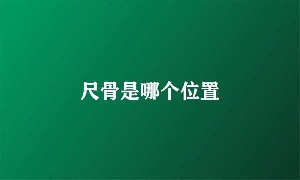 尺骨是哪个位置