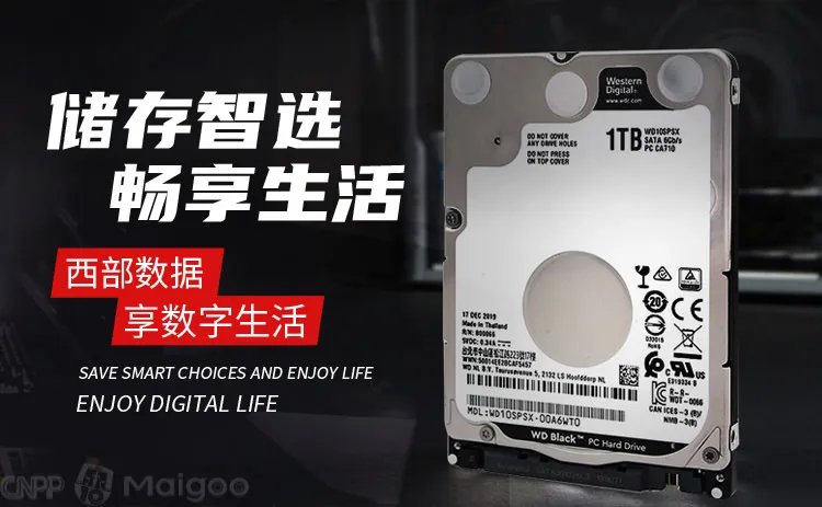 希捷是哪个国家的,希捷和西数哪个好