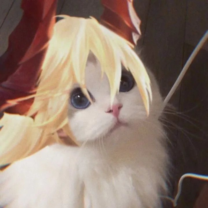 《王者荣耀》猫咪接头头像大全