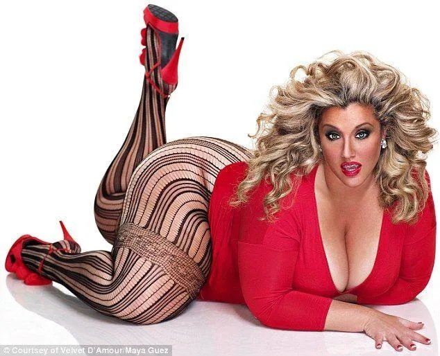 维尔维特的人物简介