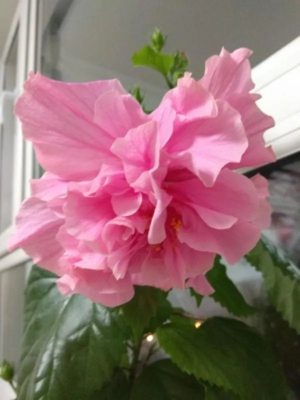 健身学校有哪些,哪个最好?