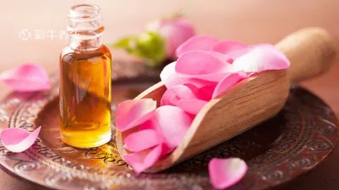玫瑰精油的功效与作用及使用方法