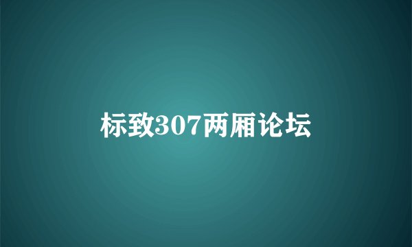 标致307两厢论坛