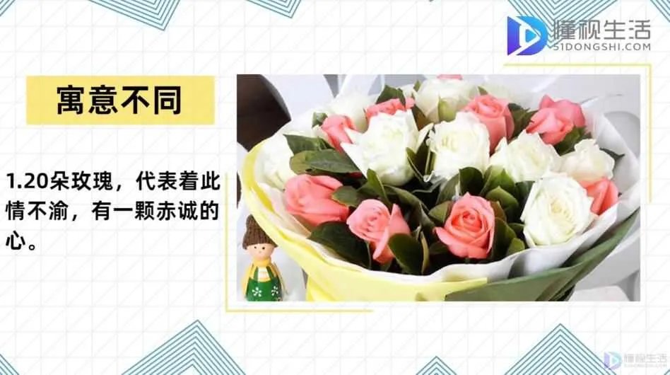 20朵玫瑰代表什么
