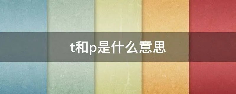 t和p是什么意思