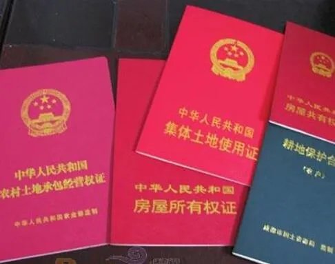 土地证号是哪个