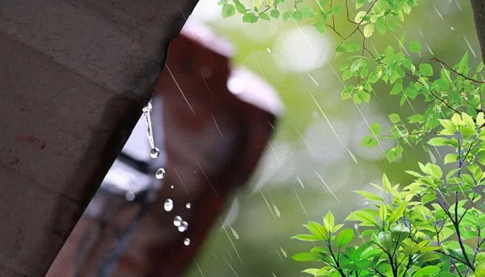 清明节为什么要扫墓祭祖 清明节扫墓祭祖的来历