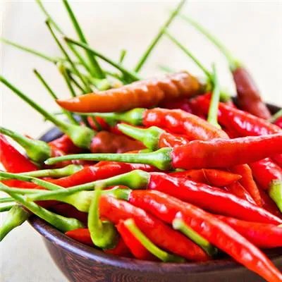 文胸的替代品——什么是胸贴