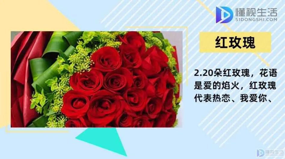 20朵玫瑰代表什么