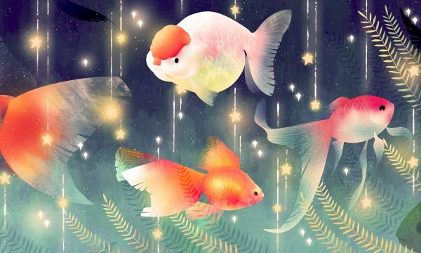 哈尔滨金融学院2021年各省录取分数线及专业分数线 文理科最低位次是多少